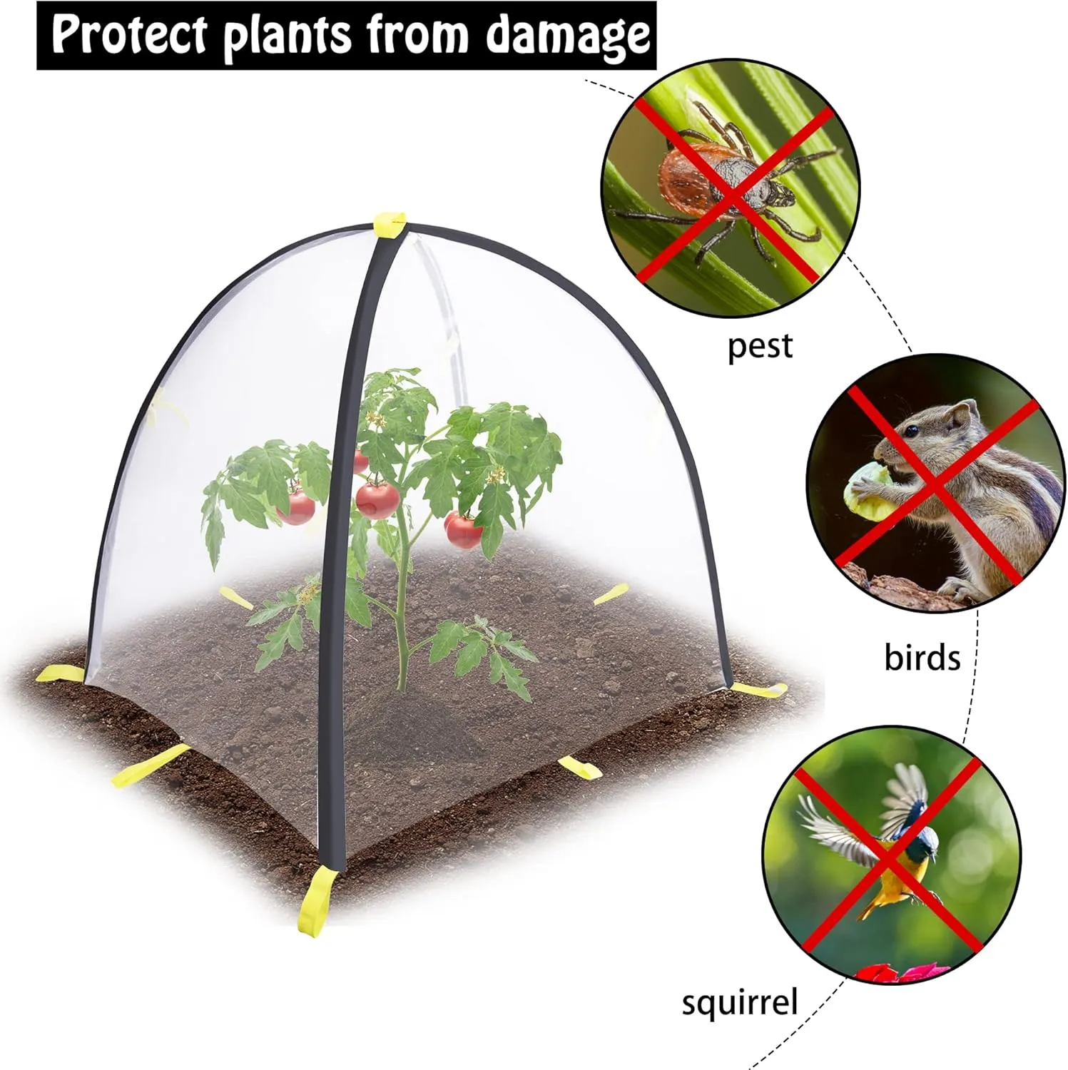 28 x28 x 33 Inch Insect Barrier Plant Tent Cover-Pest Guard Cover-Bird Barrier Netting Mesh with Stakes for Protect Plants Fruits Flower from Insect Bird Eating (1, M)