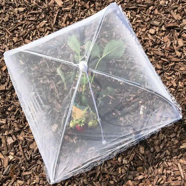 6pk Pop-Up Outdoor Food Cover Umbrella 17” Mesh Tent Protectors Bugs BBQ Picnics