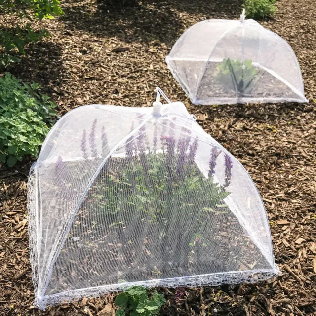 6pk Pop-Up Outdoor Food Cover Umbrella 17” Mesh Tent Protectors Bugs BBQ Picnics