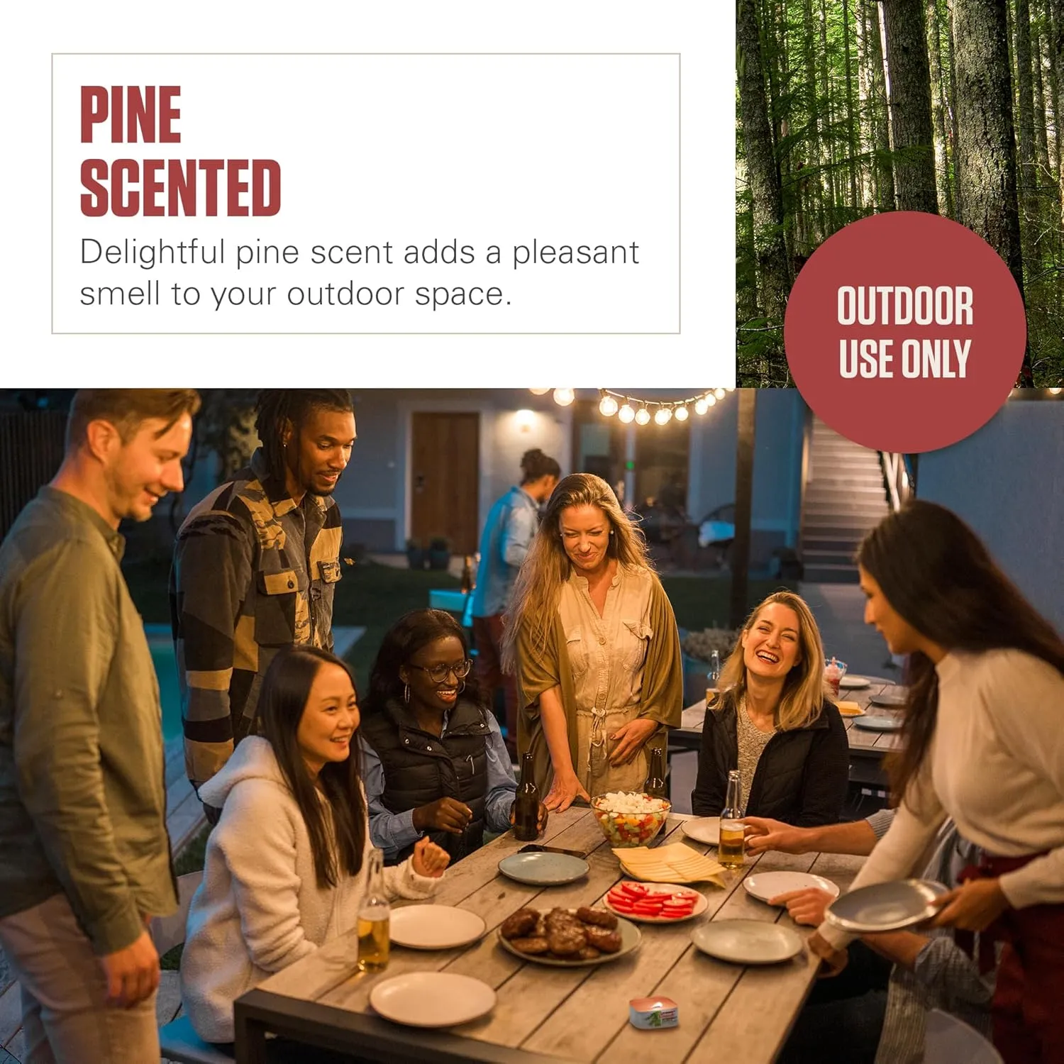 Coleman Pine Scented Citronella Candle