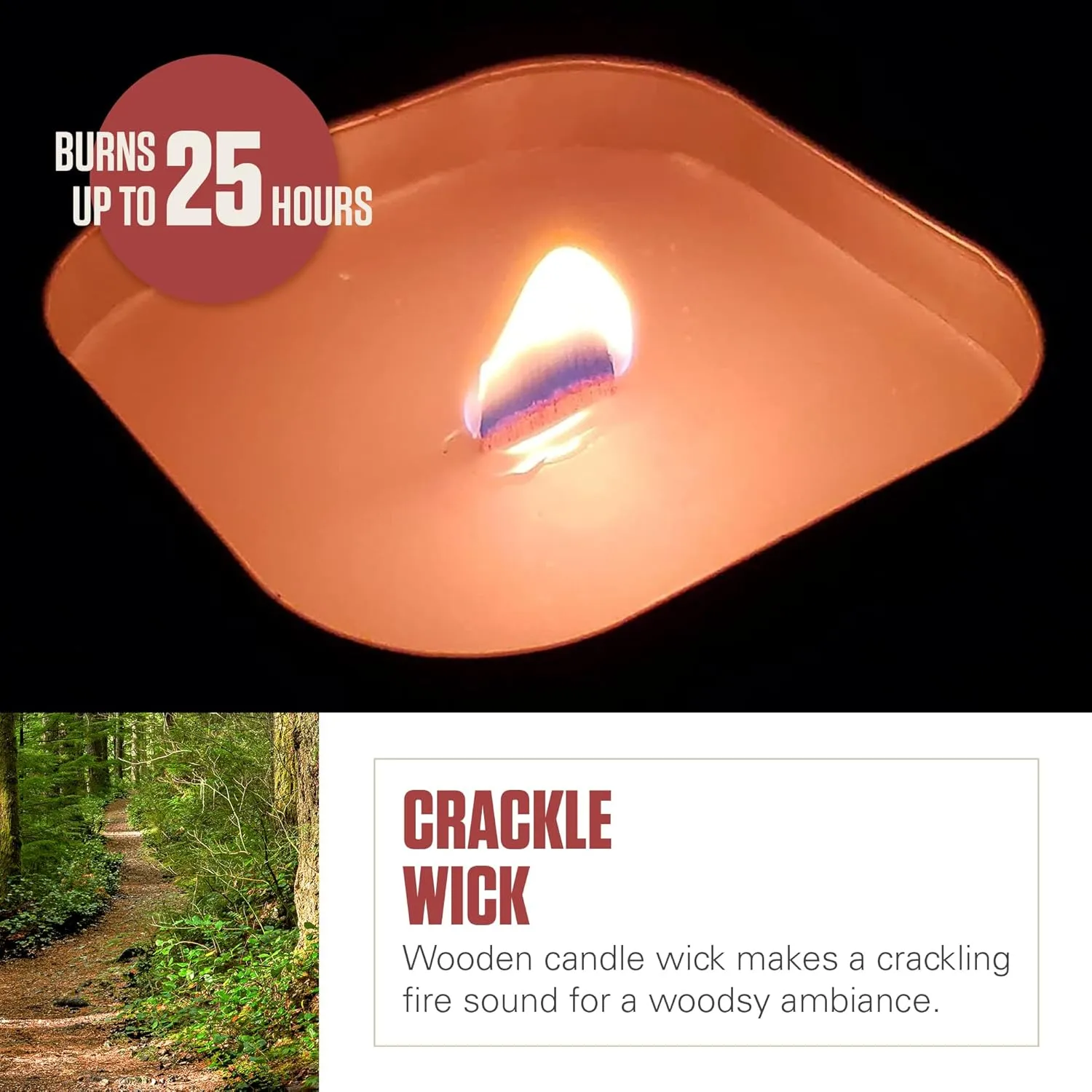 Coleman Scented Tin Citronella Candle - 3 Pack, S'Mores, Pine and Campfire