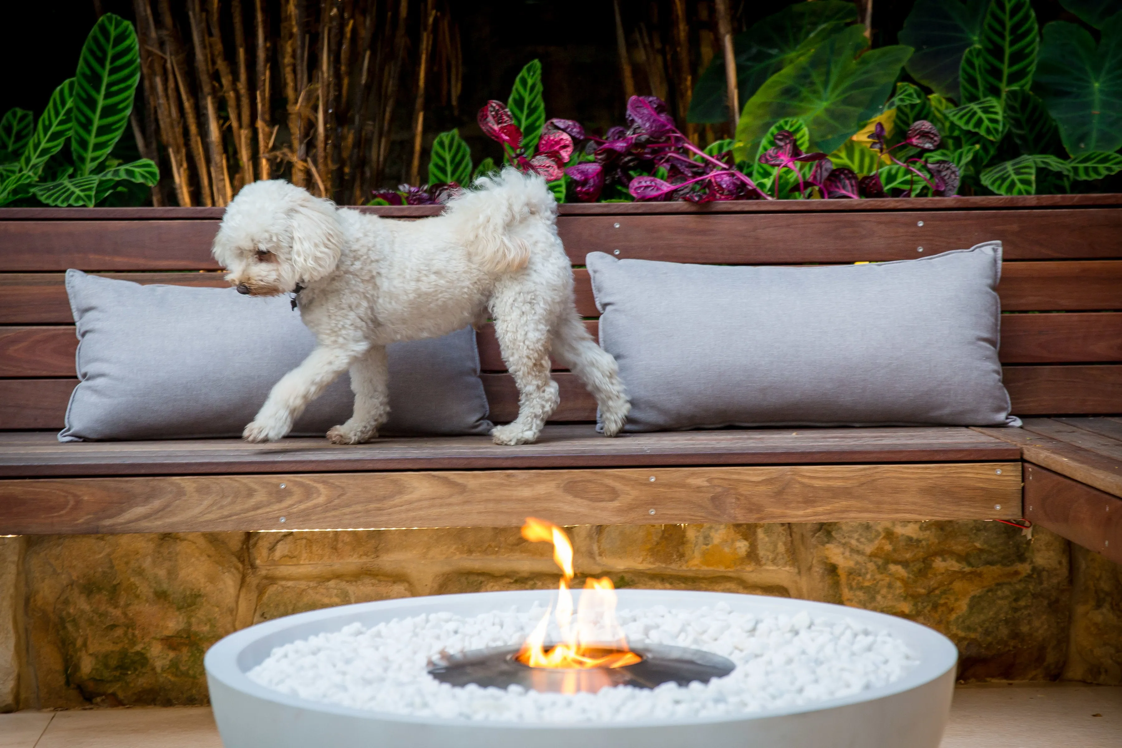 EcoSmart Fire Mix 850 Fire Pit Bowl with Bioethanol Sustainable Fuel