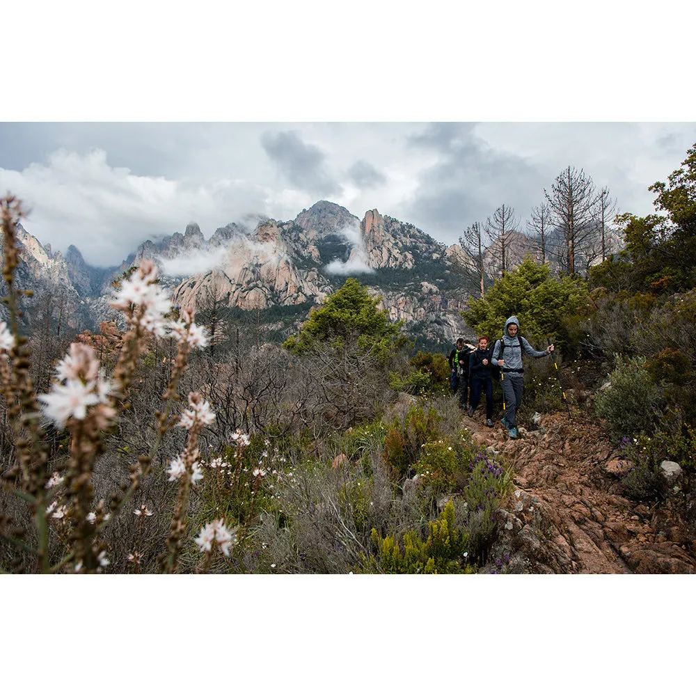 GRIVEL poles TRAIL 3 KNEE system