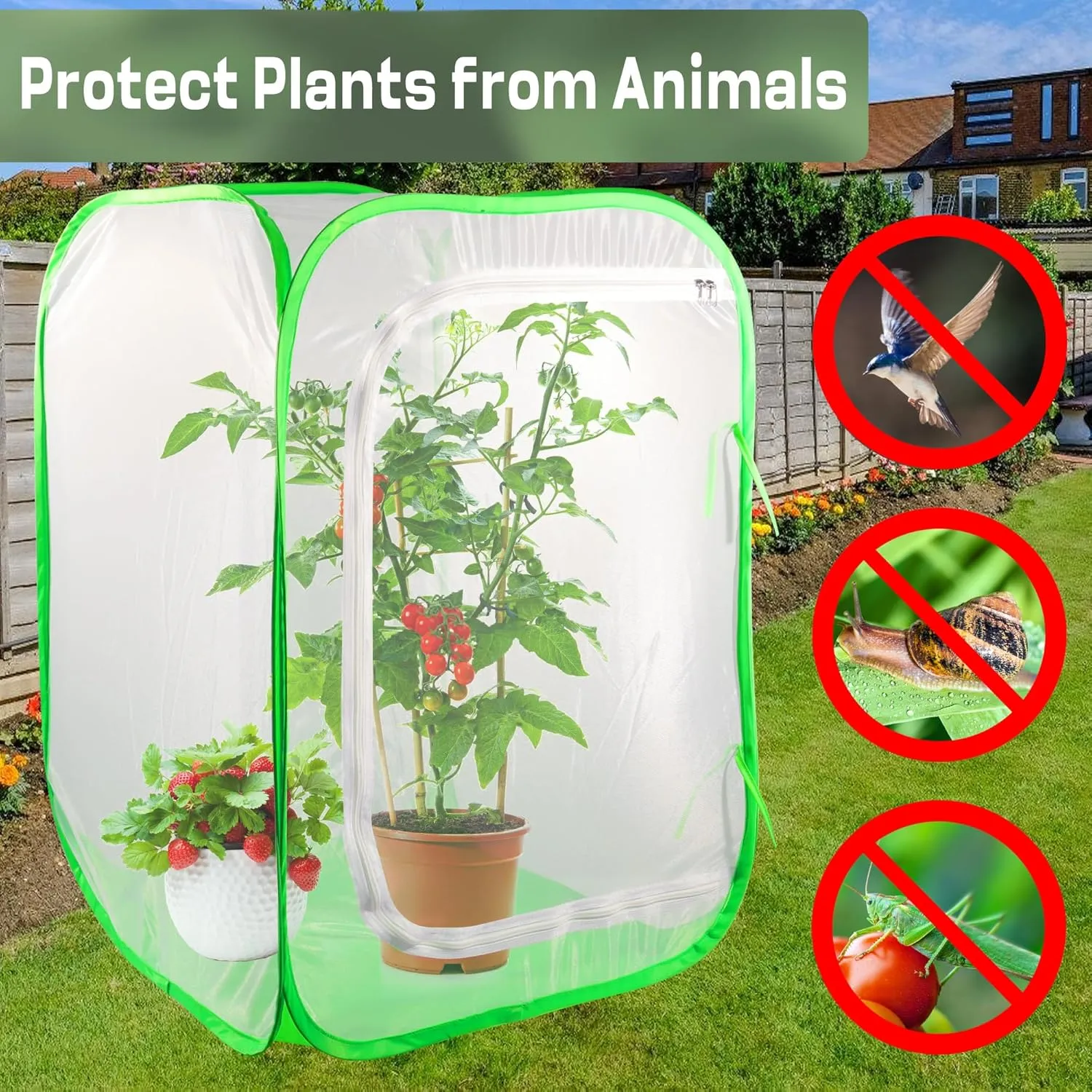 Mesh Plant Tent Enclosure, Pop-Up Cage Plant Cover, Outdoor Garden Protection Guard for Pests, Bird, Pest (24 x 24 x 36 Inches)
