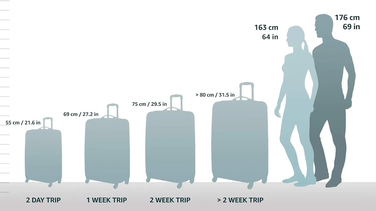 Rockland London Hardside Expandable Luggage with Spinner Wheels, Purple, Carry-On 20-Inch