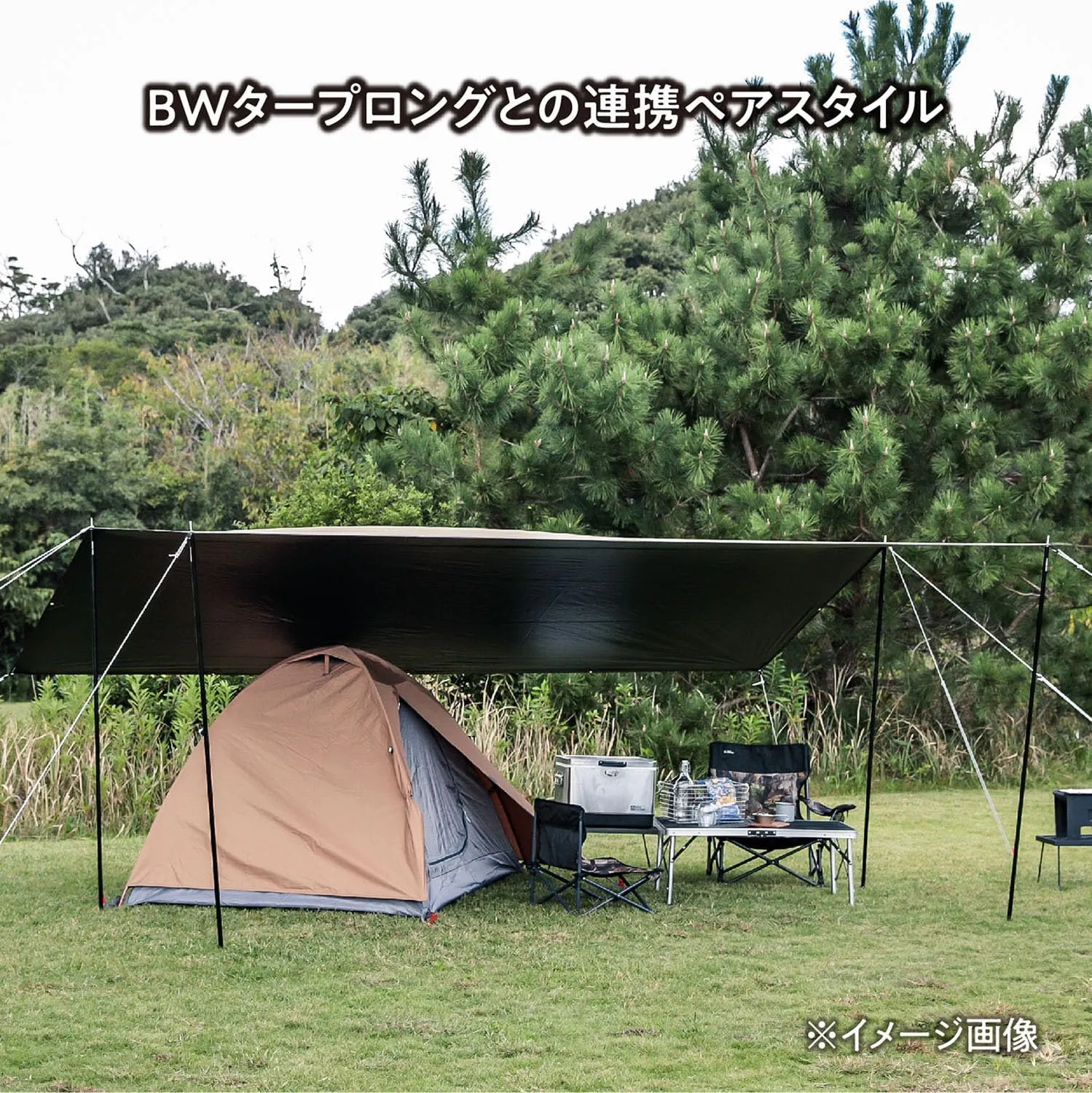 tents Hi-TC