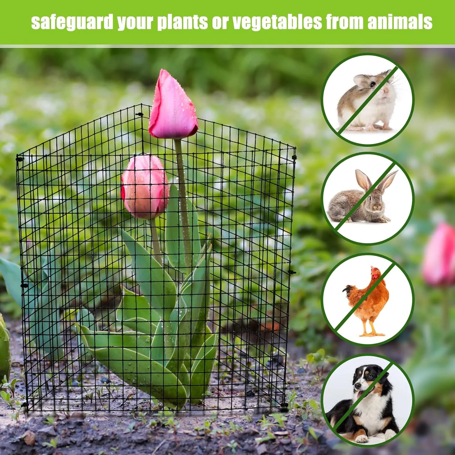 Zubebe 8 Pack Small Wire Plant Protectors Square Plant Protectors from Animals Mesh Cage Chicken Wire Cloche for Shrubs and Vegetables with Ground Stakes and Nylon Ties (12 x 12 Inch)